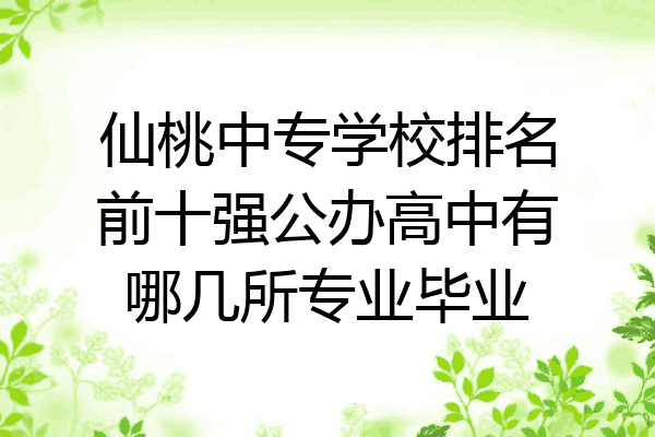 仙桃中专学校排名前十强公办高中有哪几所专业毕业