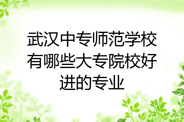 武汉中专师范学校有哪些大专院校好进的专业