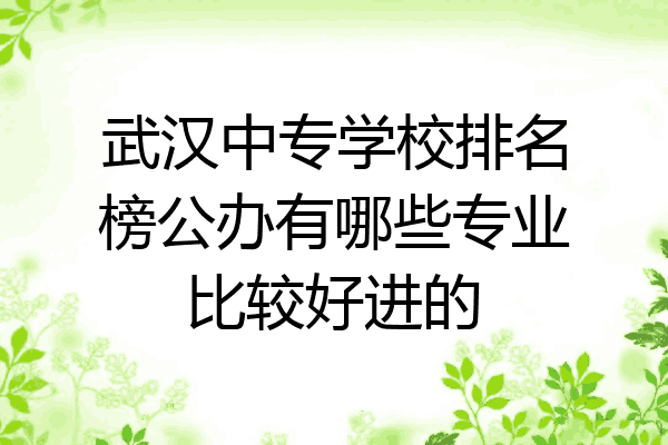 武汉中专学校排名榜公办有哪些专业比较好进的