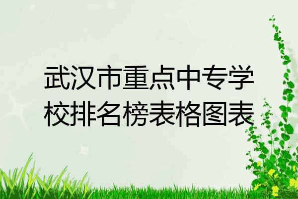 武汉市重点中专学校排名榜表格图表