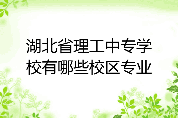 湖北省理工中专学校有哪些校区专业