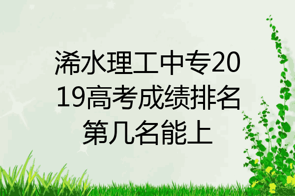 浠水理工中专2019高考成绩排名第几名能上