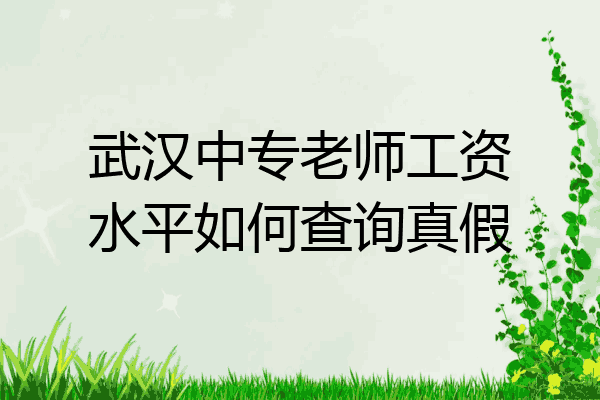 武汉中专老师工资水平如何查询真假