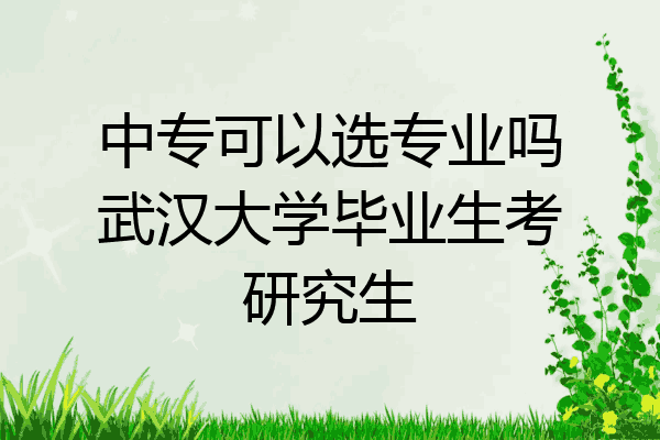 中专可以选专业吗武汉大学毕业生考研究生