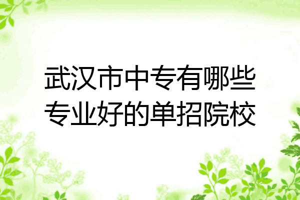 武汉市中专有哪些专业好的单招院校