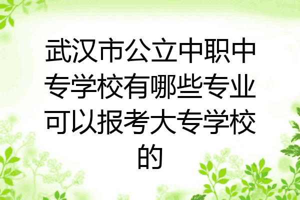 武汉市公立中职中专学校有哪些专业可以报考大专学校的