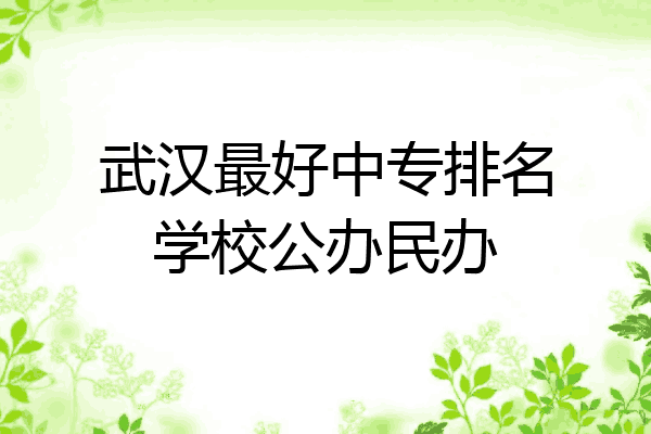 武汉最好中专排名学校公办民办
