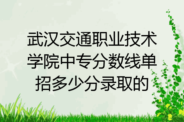 武汉交通职业技术学院中专分数线单招多少分录取的