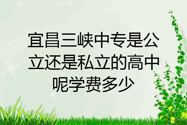 宜昌三峡中专是公立还是私立的高中呢学费多少