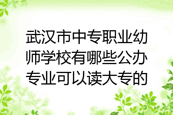 武汉市中专职业幼师学校有哪些公办专业可以读大专的