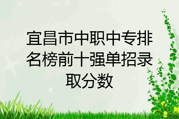 宜昌市中职中专排名榜前十强单招录取分数