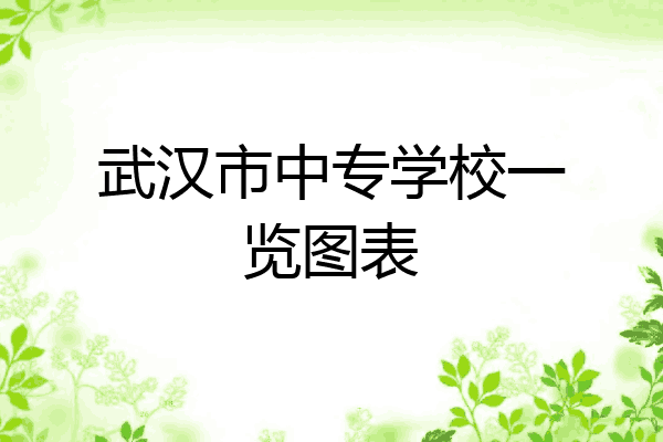 武汉市中专学校一览图表