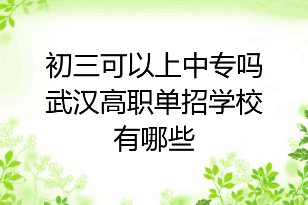 初三可以上中专吗武汉高职单招学校有哪些