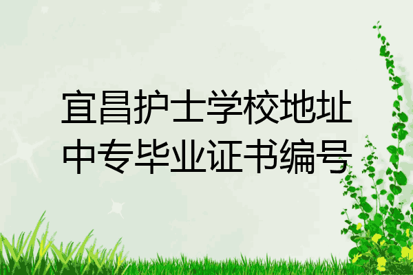 宜昌护士学校地址中专毕业证书编号