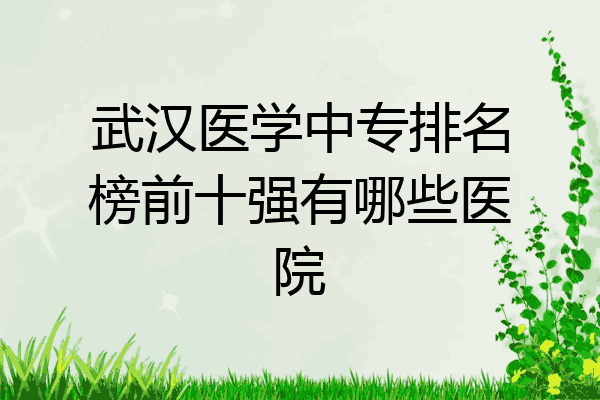 武汉医学中专排名榜前十强有哪些医院