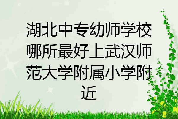 湖北中专幼师学校哪所最好上武汉师范大学附属小学附近