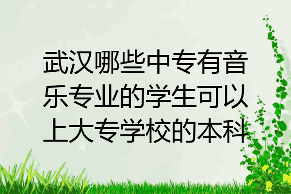武汉哪些中专有音乐专业的学生可以上大专学校的本科