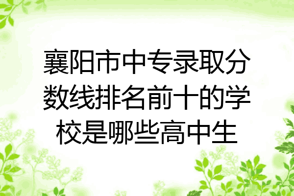 襄阳市中专录取分数线排名前十的学校是哪些高中生