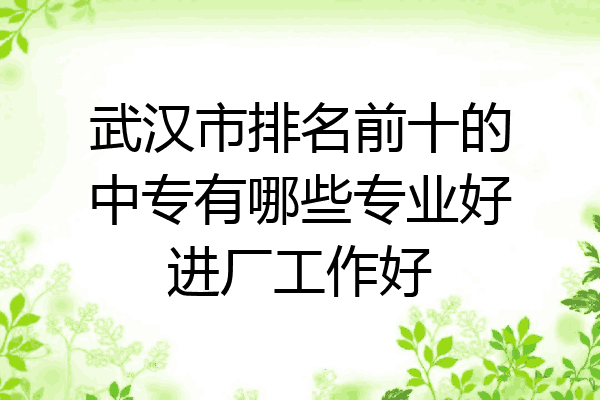 武汉市排名前十的中专有哪些专业好进厂工作好