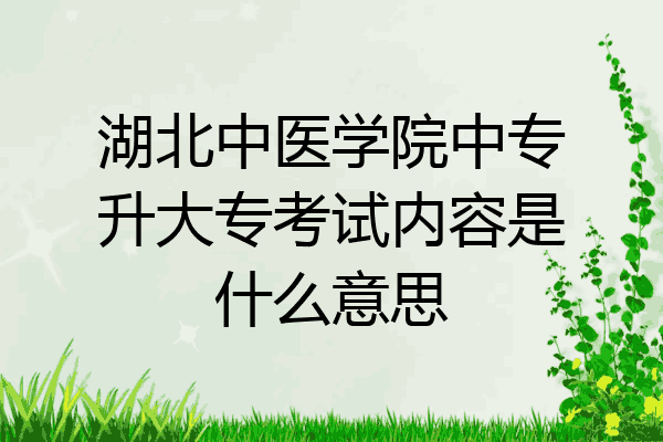 湖北中医学院中专升大专考试内容是什么意思