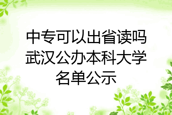 中专可以出省读吗武汉公办本科大学名单公示
