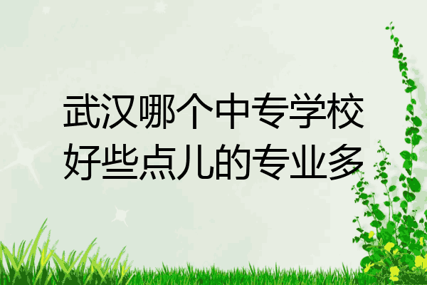 武汉哪个中专学校好些点儿的专业多