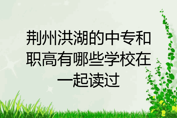 荆州洪湖的中专和职高有哪些学校在一起读过