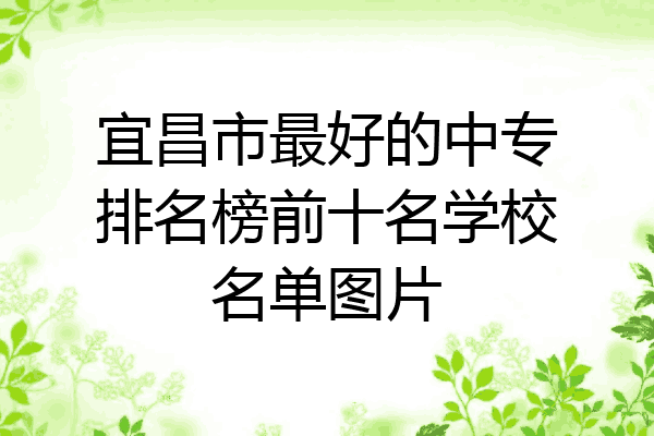 宜昌市最好的中专排名榜前十名学校名单图片