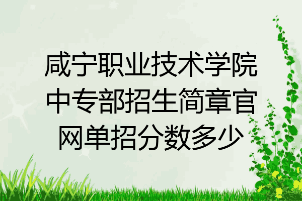 咸宁职业技术学院中专部招生简章官网单招分数多少