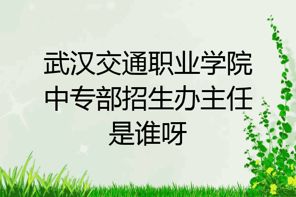 武汉交通职业学院中专部招生办主任是谁呀