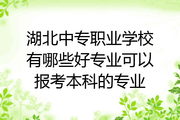 湖北中专职业学校有哪些好专业可以报考本科的专业