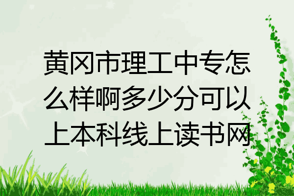 黄冈市理工中专怎么样啊多少分可以上本科线上读书网