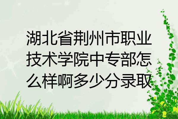 湖北省荆州市职业技术学院中专部怎么样啊多少分录取