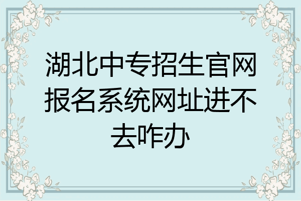 湖北中专招生官网报名系统网址进不去咋办