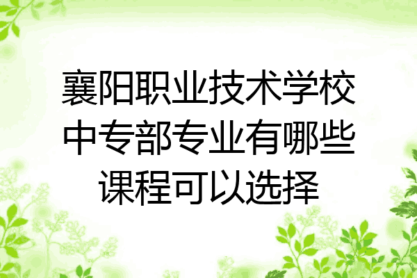 襄阳职业技术学校中专部专业有哪些课程可以选择
