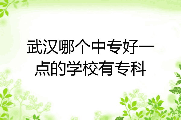 武汉哪个中专好一点的学校有专科