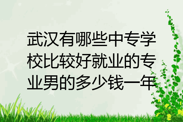 武汉有哪些中专学校比较好就业的专业男的多少钱一年