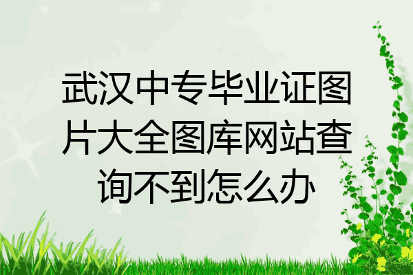 武汉中专毕业证图片大全图库网站查询不到怎么办