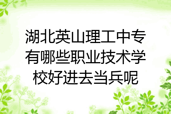 湖北英山理工中专有哪些职业技术学校好进去当兵呢