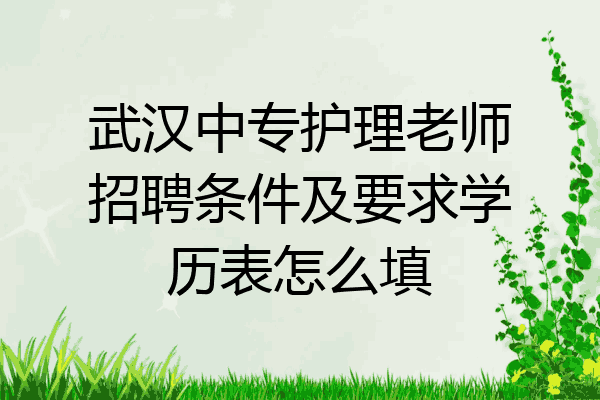 武汉中专护理老师招聘条件及要求学历表怎么填