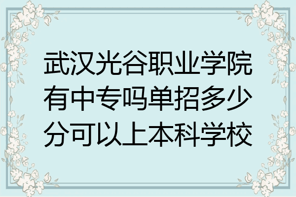 武汉光谷职业学院有中专吗单招多少分可以上本科学校