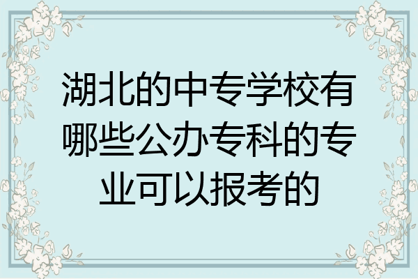 湖北的中专学校有哪些公办专科的专业可以报考的