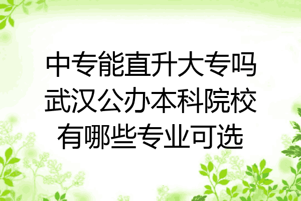 中专能直升大专吗武汉公办本科院校有哪些专业可选