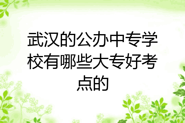 武汉的公办中专学校有哪些大专好考点的