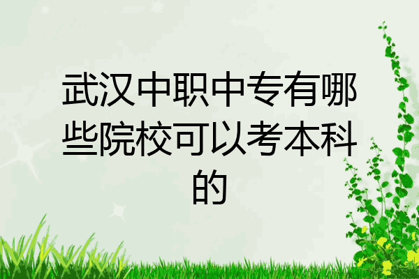 武汉中职中专有哪些院校可以考本科的