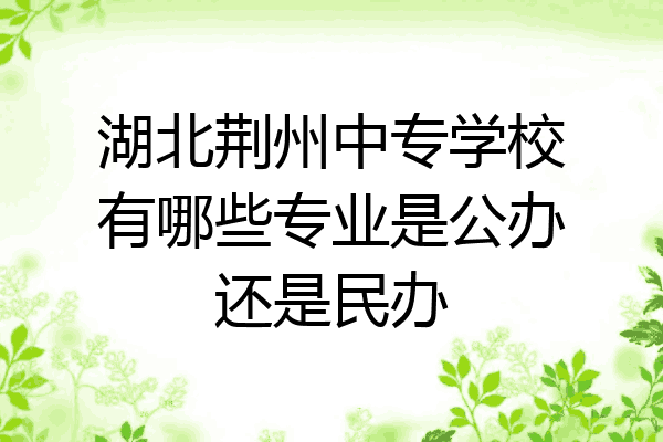 湖北荆州中专学校有哪些专业是公办还是民办