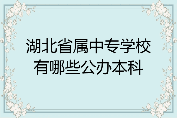 湖北省属中专学校有哪些公办本科