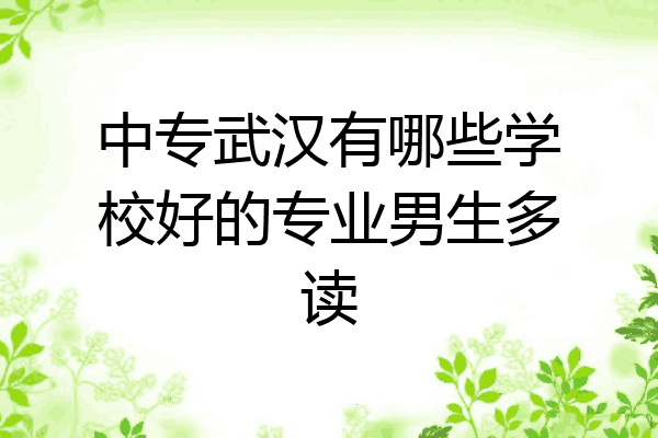 中专武汉有哪些学校好的专业男生多读