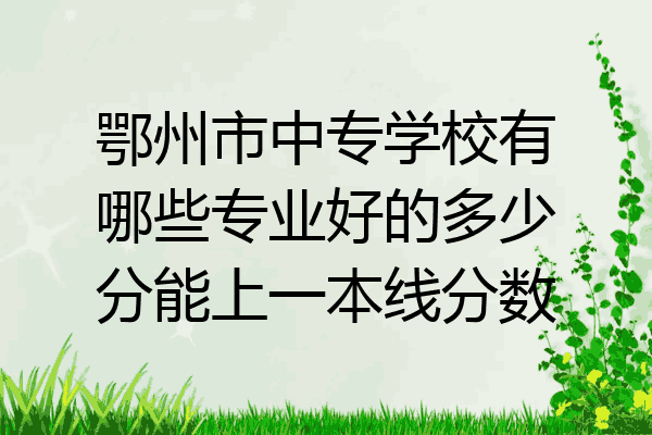 鄂州市中专学校有哪些专业好的多少分能上一本线分数