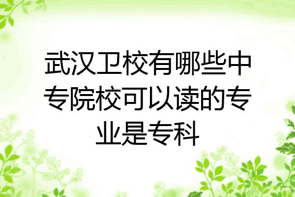 武汉卫校有哪些中专院校可以读的专业是专科